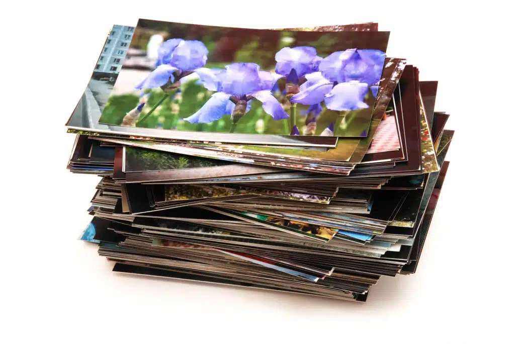 Pile of assorted printed photographs with visible iris flower.